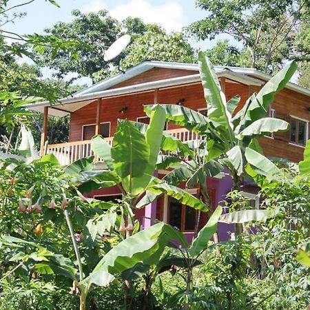 Sao JoseBema Farm别墅 外观 照片