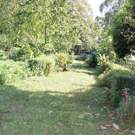 Sao JoseBema Farm别墅 外观 照片