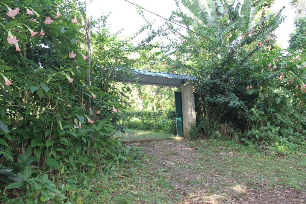 Sao JoseBema Farm别墅 外观 照片