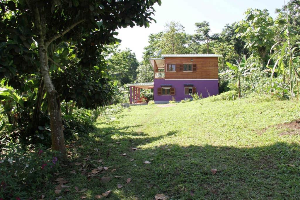 Sao JoseBema Farm别墅 外观 照片