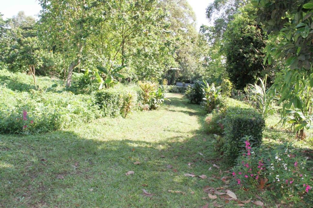 Sao JoseBema Farm别墅 外观 照片